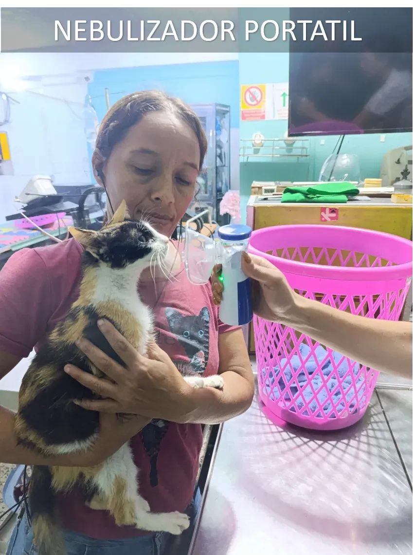 Terapias Respiratorias